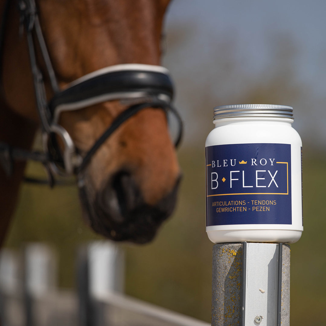 B-Flex - Protection & confort locomoteur