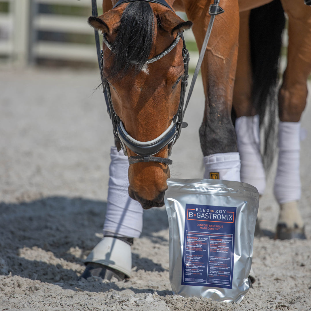 B-Gastromix - Confort & protection gastrique