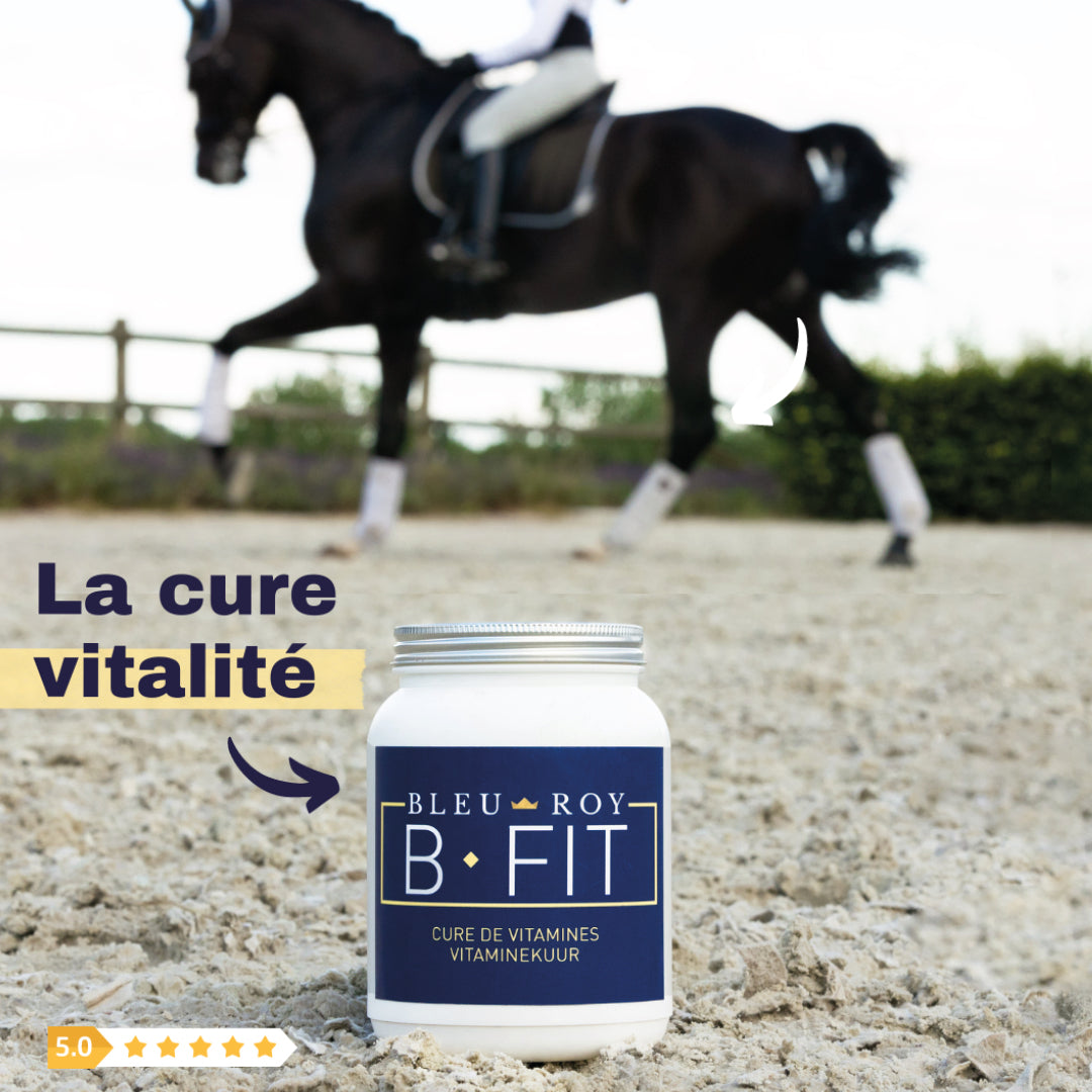 B-Fit - Vitamines & oligo-éléments