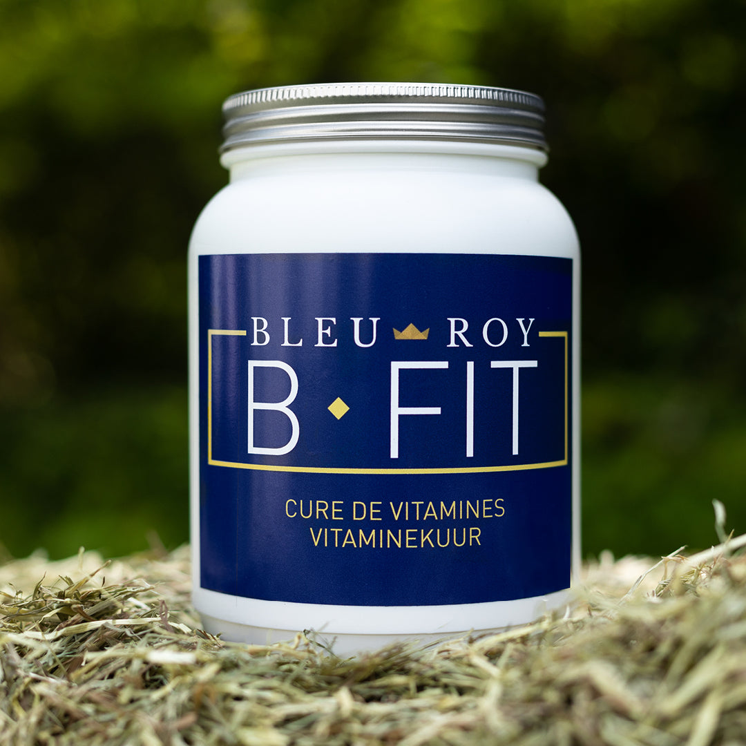 B-Fit - Vitamines & oligo-éléments