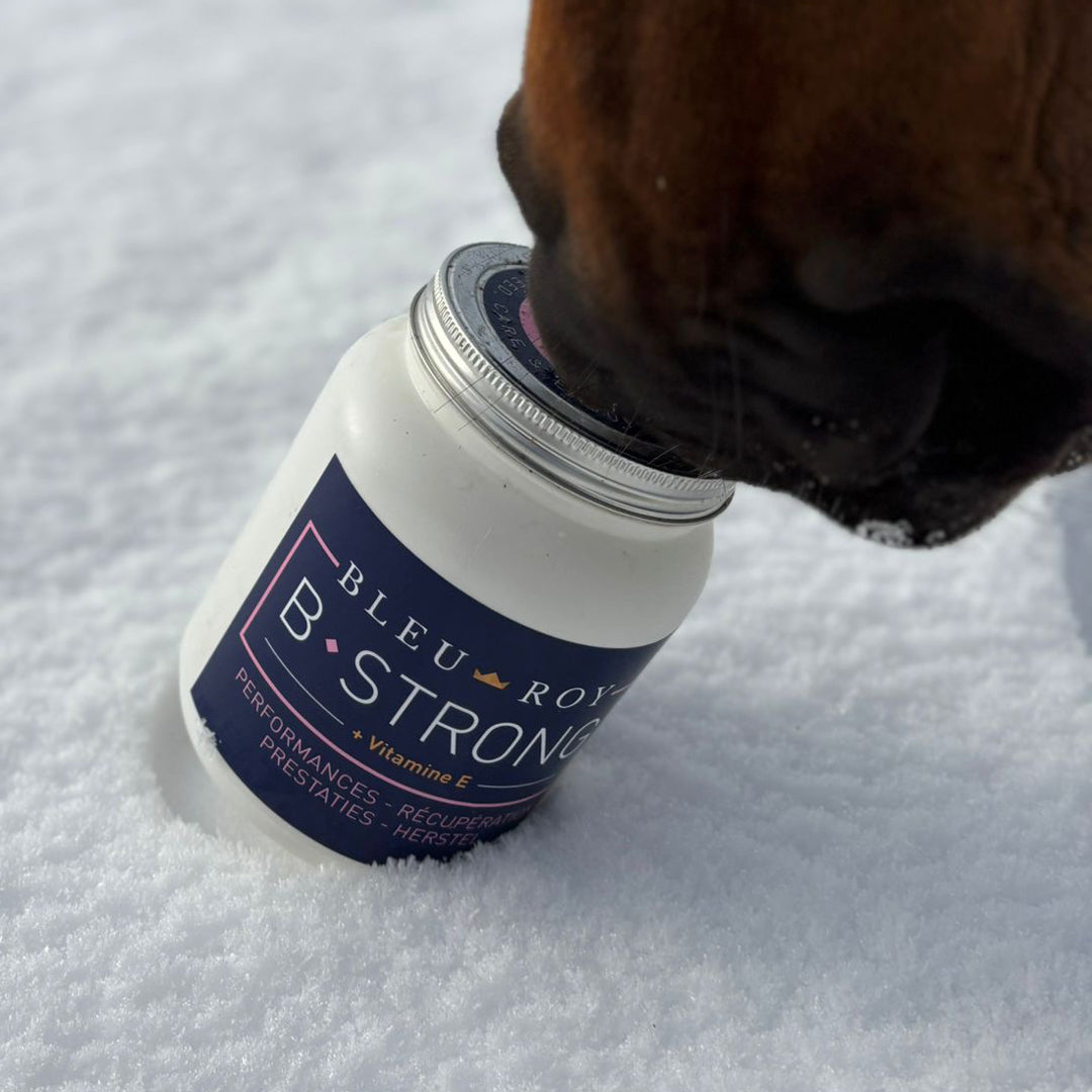 B-Strong - Performance & récupération