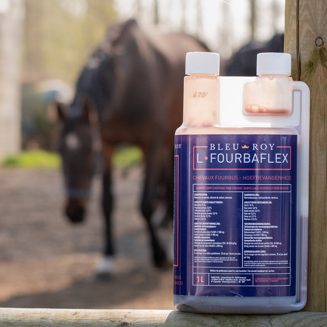L-Fourbaflex - Confort du cheval fourbu