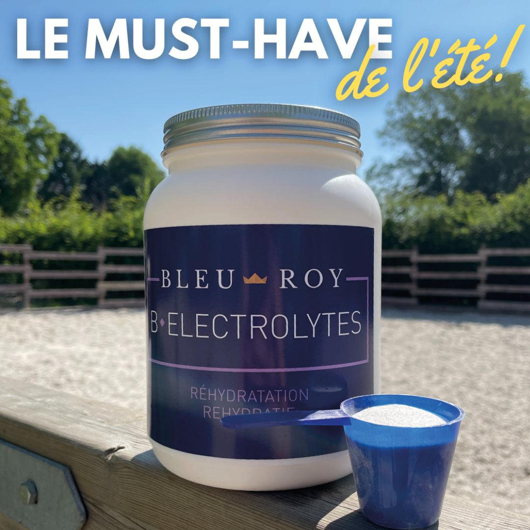 B-Electrolytes - Réhydratant en poudre