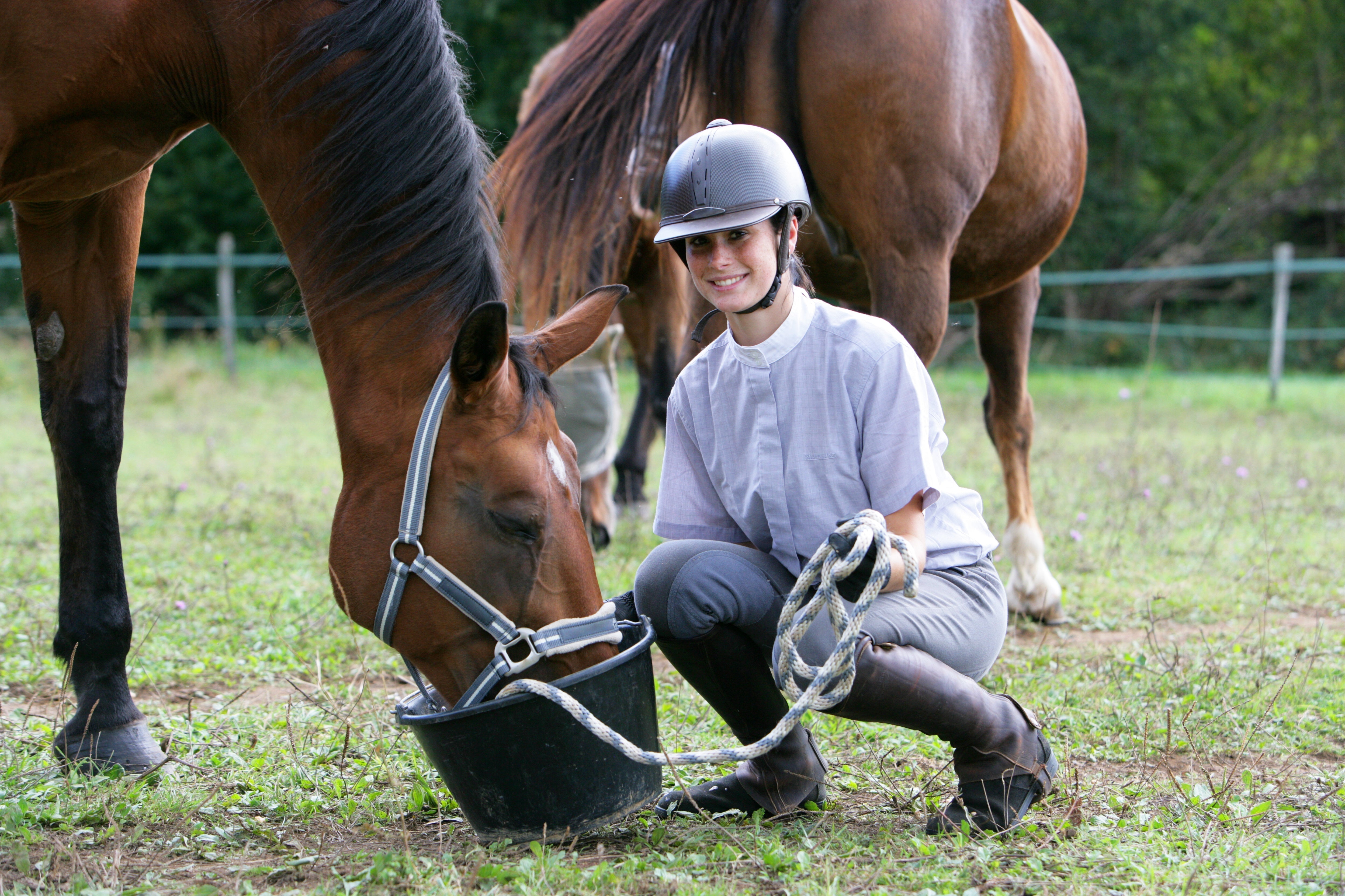Quelle quantité d'aliments pour mon cheval ?