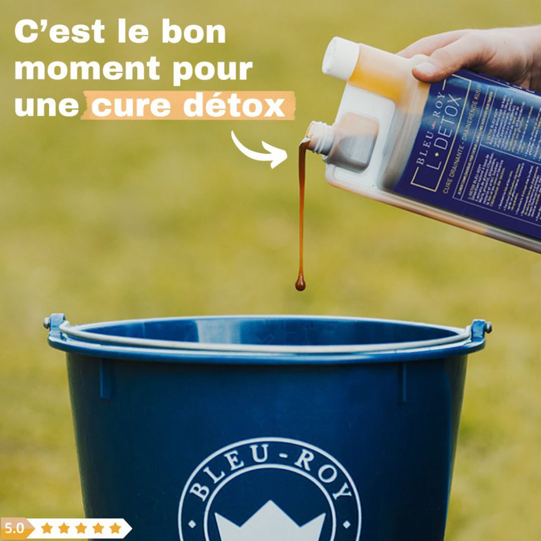 L-DETOX - Sirop détoxifiant à base de plantes