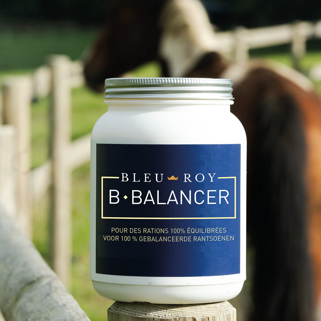 B-Balancer - CMV haute qualité