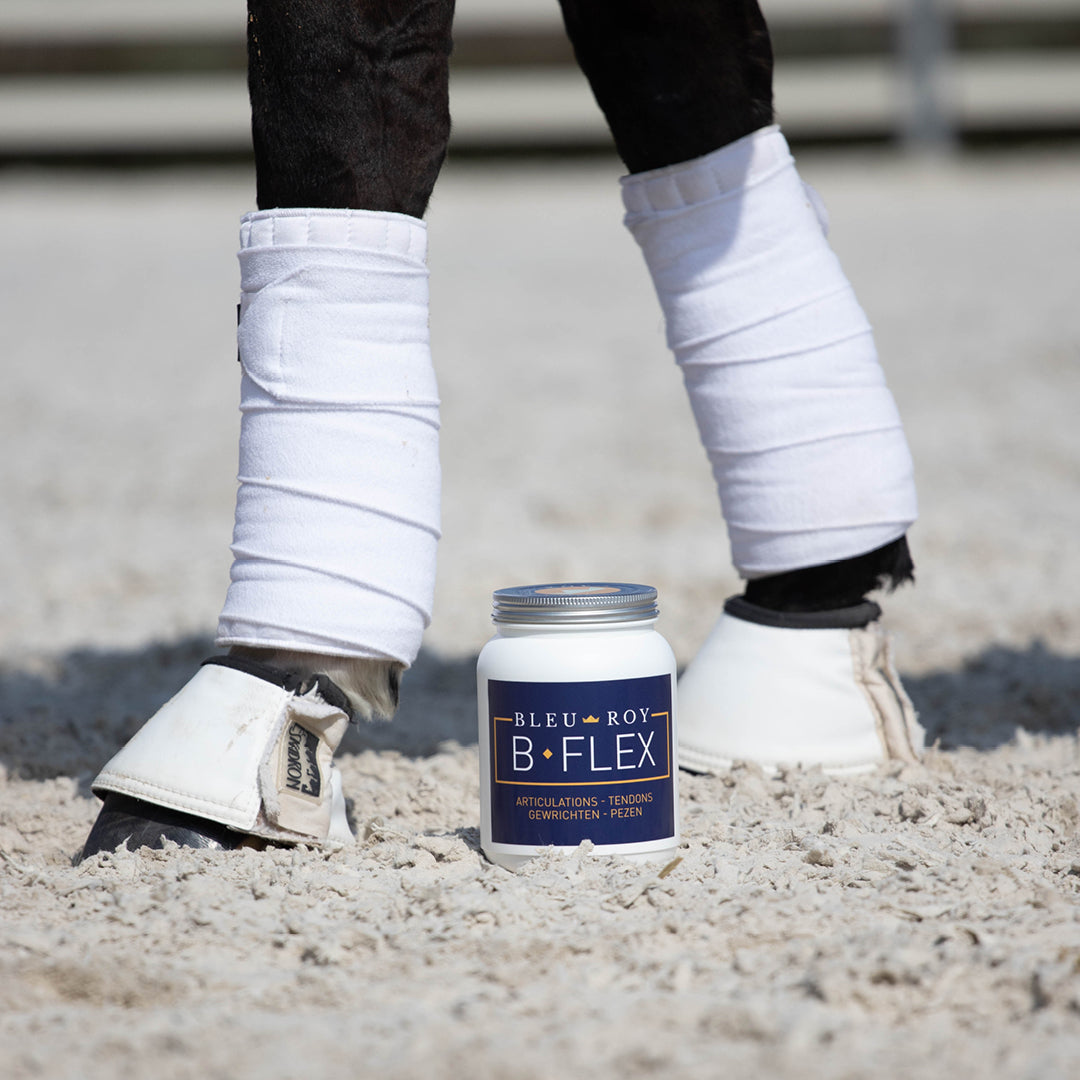B-Flex - Protection & confort locomoteur