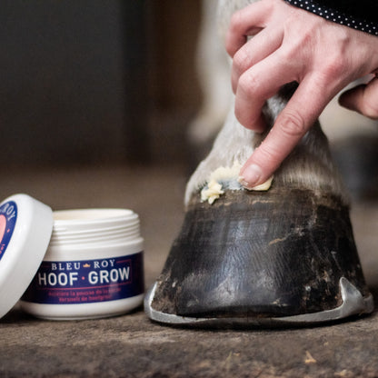 Hoof Grow - Onguent pour sabots