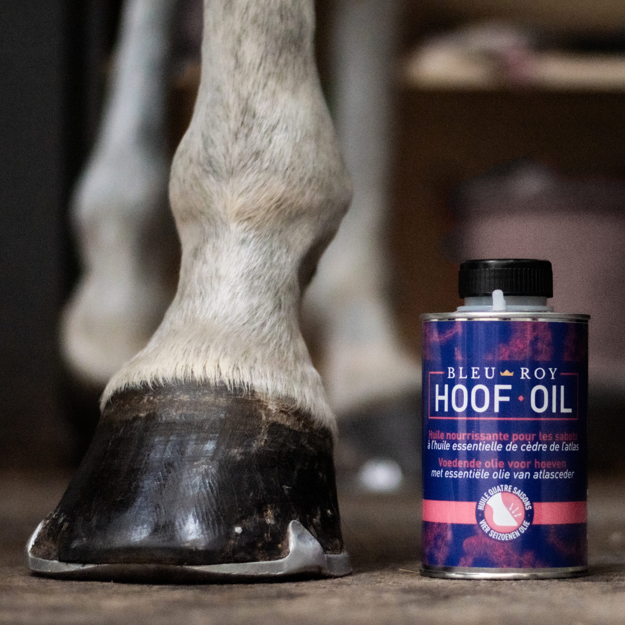 Hoof Oil - Huile 4 saisons pour sabots