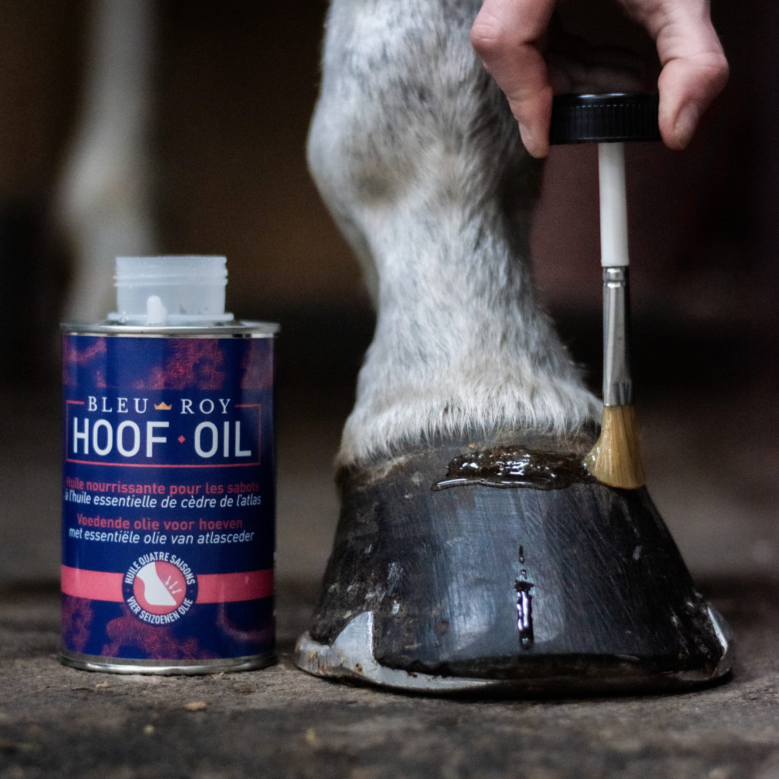 Hoof Oil - Huile 4 saisons pour sabots