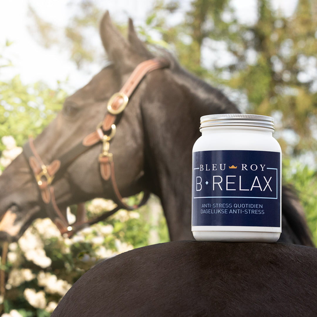 B-Relax - Anti-stress quotidien