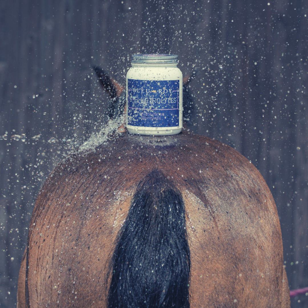 B-Electrolytes - Réhydratant en poudre