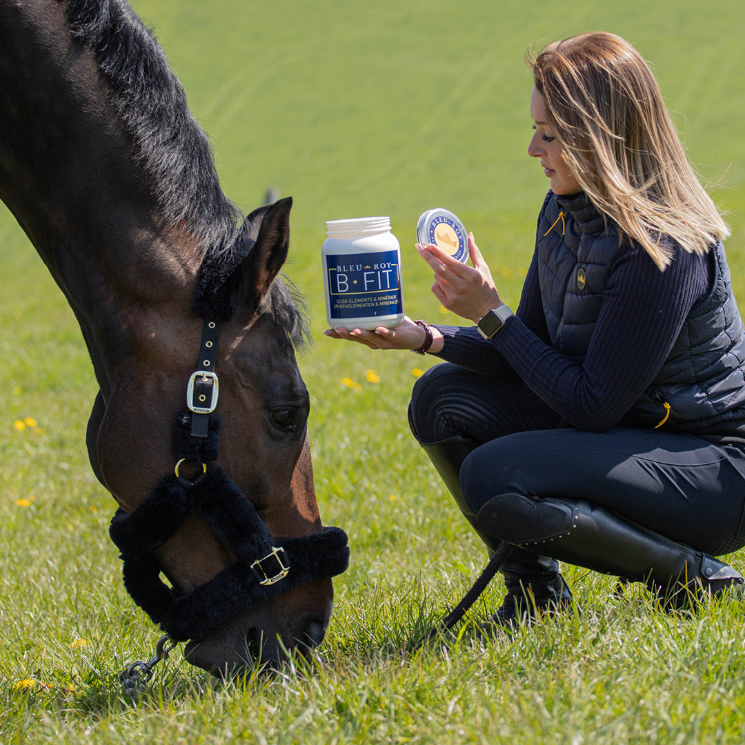 B-Fit - Vitamines & oligo-éléments