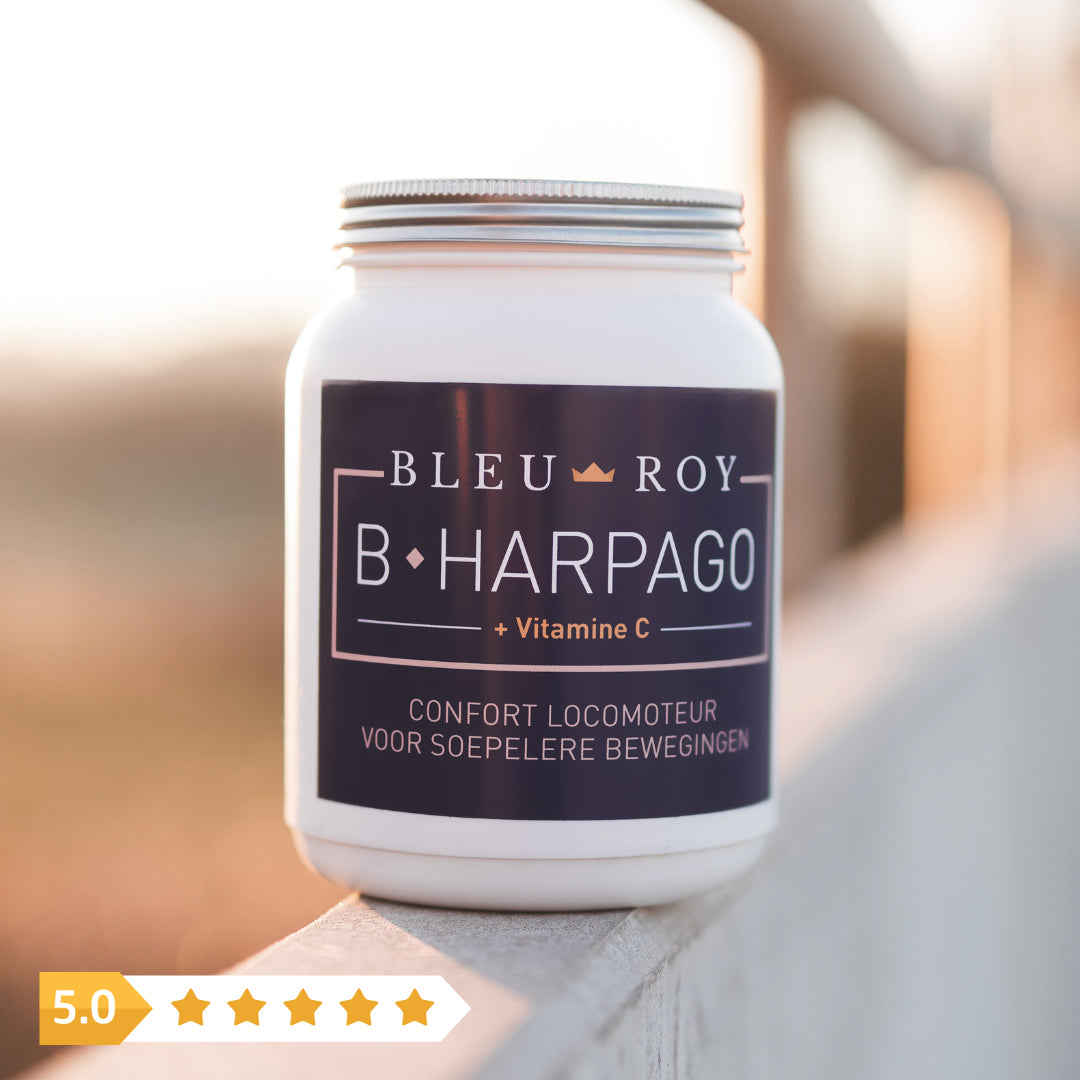 B-Harpago - Harpagophytum & vitamine C