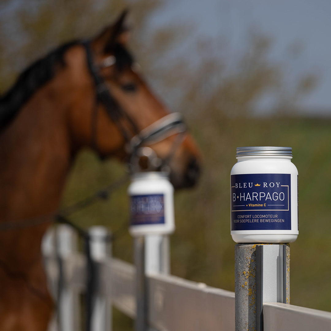 B-Harpago - Harpagophytum & vitamine C