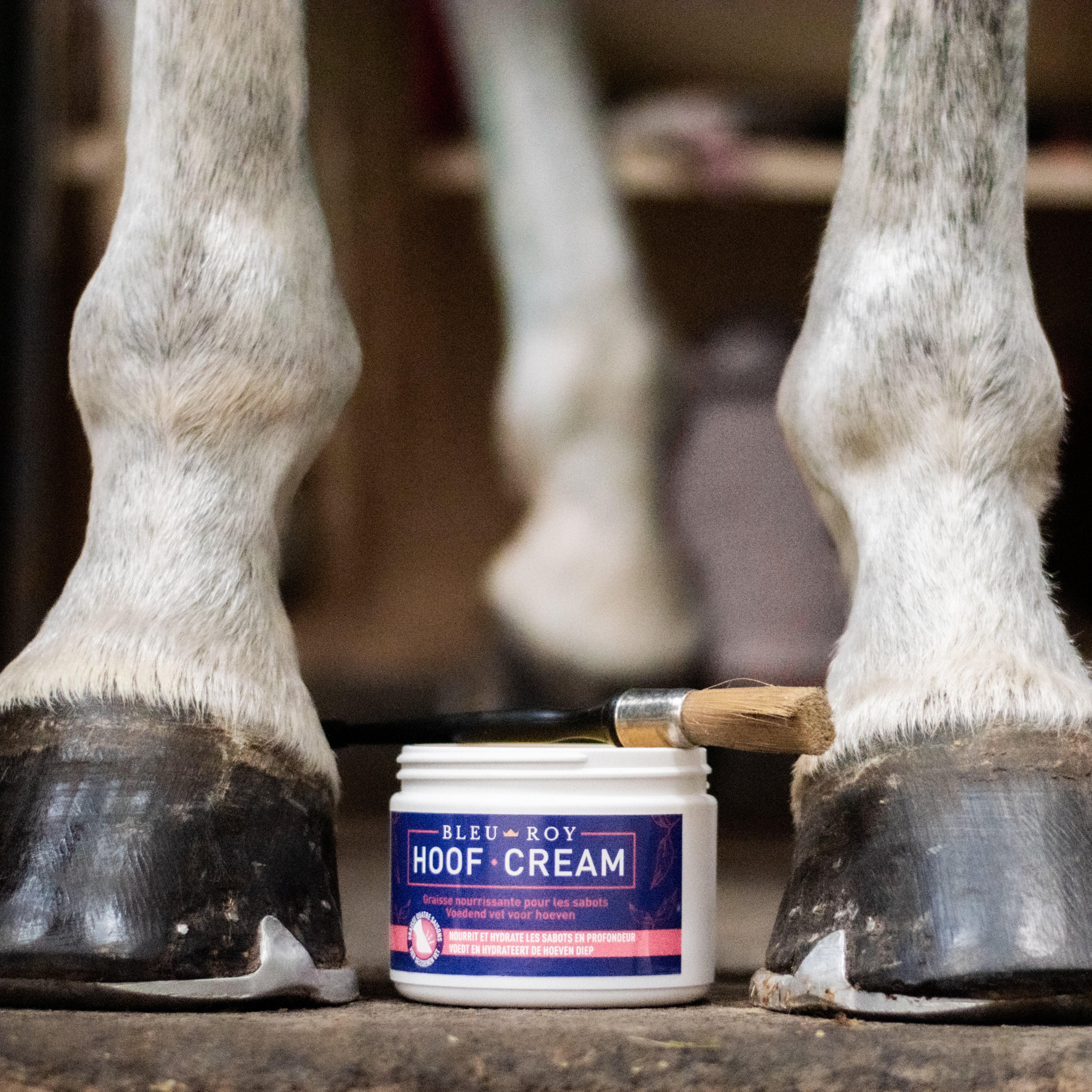 Hoof Cream - Graisse nourrissante pour sabots