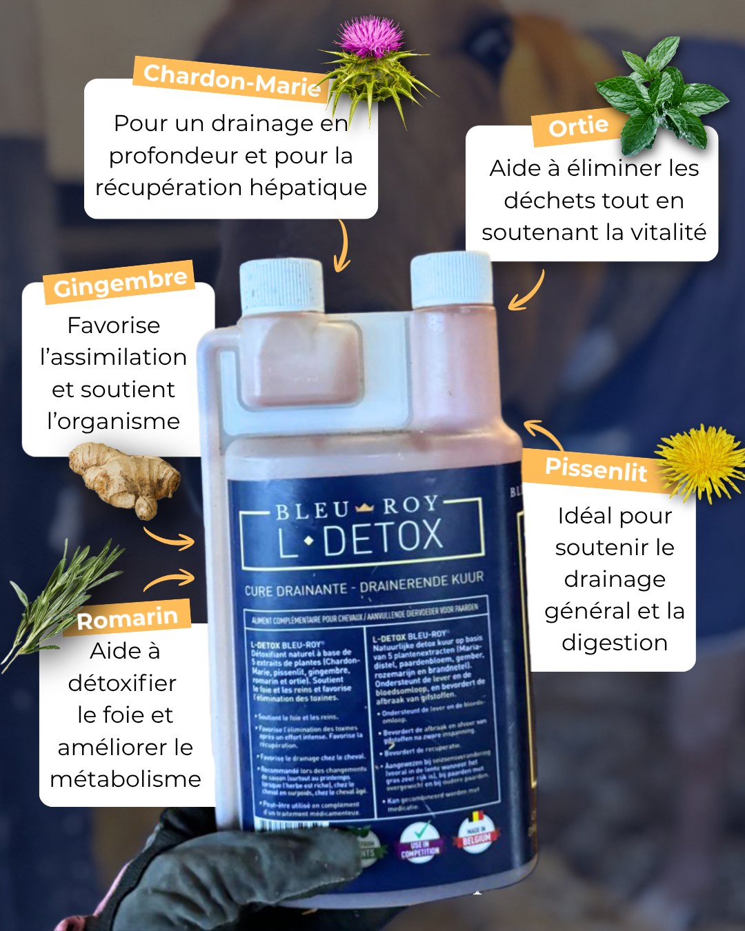L-DETOX - Sirop détoxifiant à base de plantes