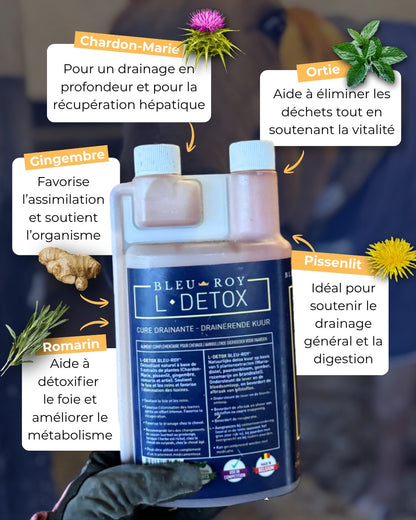 L-DETOX - Sirop détoxifiant à base de plantes